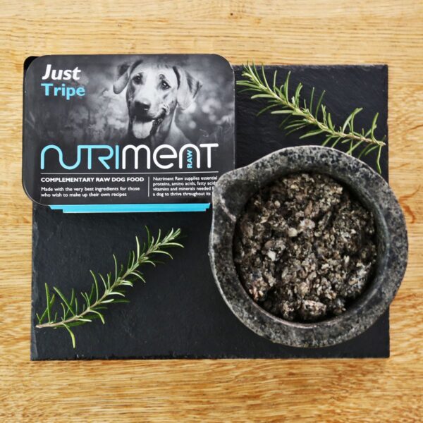 Nutriment Just Tripe Raw Dog Food 500g (Frozen)